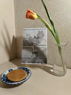 looking_at_viewer mymy photo screenshot stroopwafel tulip waffle // 3000x4000 // 4.9MB