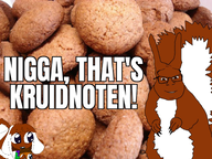 acorn featured holding_object kruidnoten meta:ias nigga_thats_nuts nuts squirreljak variant:feral variant:soymy // 2152x1614 // 2.4MB