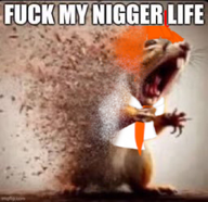 bow english_text meme mymy orange_hair squirrel text tie whatever_this_is // 681x660 // 548KB